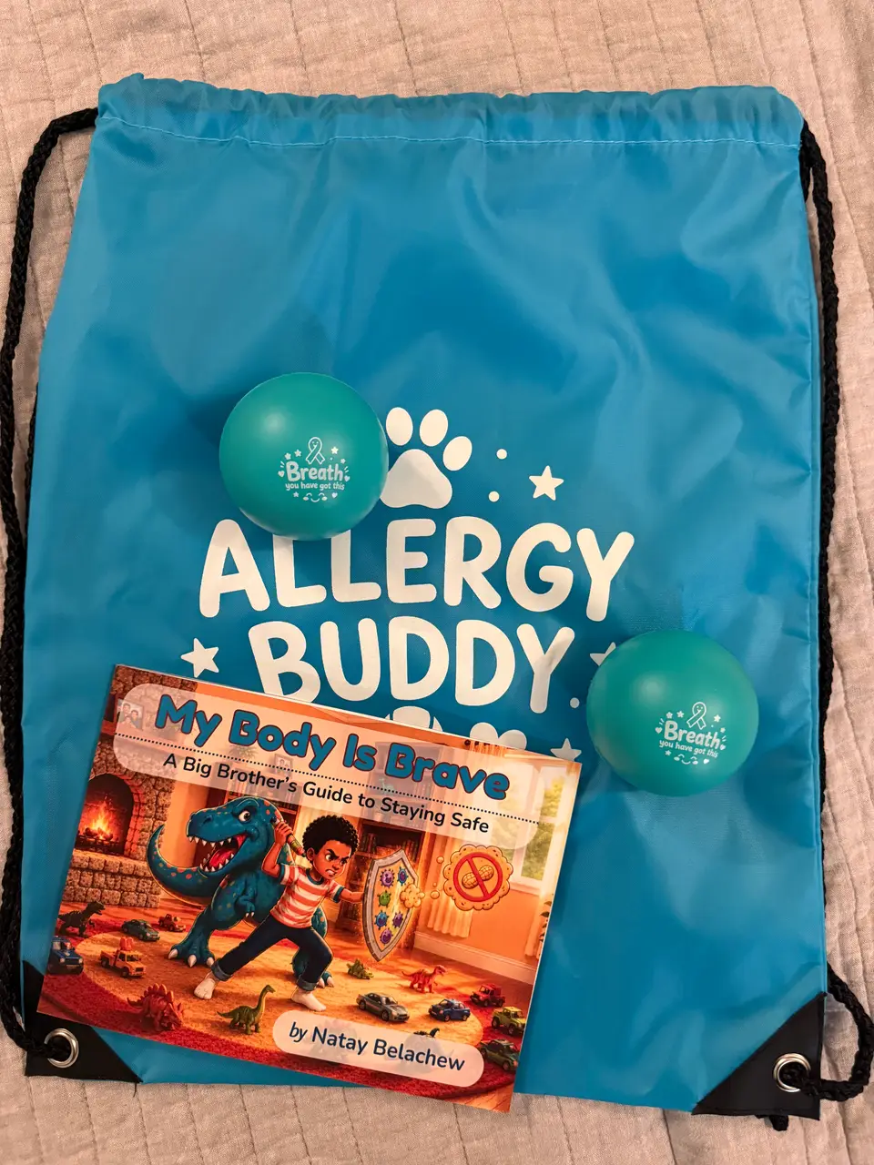 The Allergy Buddy bag with two stress balls and the book My Body Is Brave